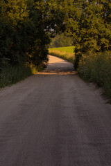 Obraz premium Beautiful rural road in the countryside, day landscape