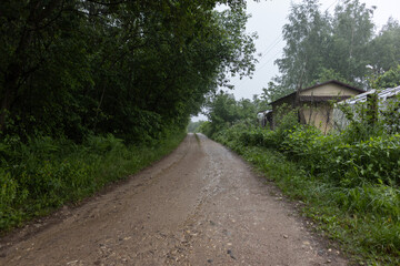 Beautiful rural road in the countryside, day landscape and tree on a summer day