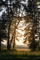 Summer landscape, Sun and sunbeams, sunset sky