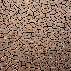 1427 Cracked Earth Texture: A textured and rugged background featuring a cracked earth texture with dry and arid patterns, adding a touch of ruggedness and natural beauty5, Generative AI
