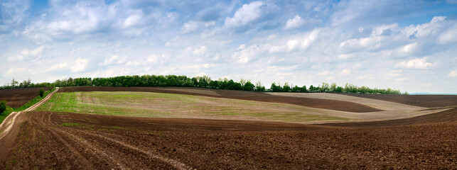 Rural landscape of farmland hills, lines and waves, geometry, beautiful sky