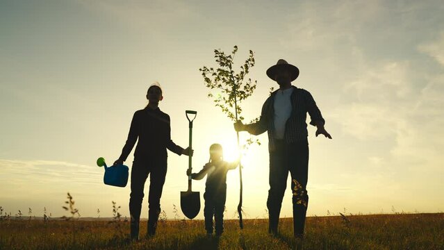 fresh sapling tree sunset, young roots, soil earth, plant garden, silhouette happiness family father mother child, sunset father child mother tree, team group people, family farmers, father mother