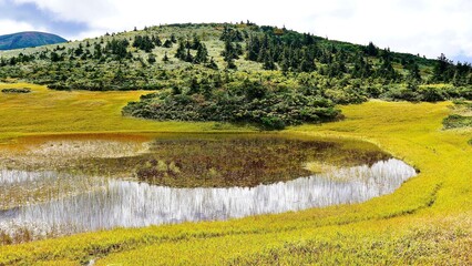 八甲田山　湿原展望台から見える紅葉の田茂萢湿原