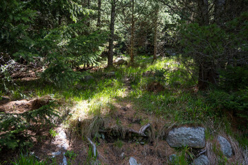 Spring view of Konyarnika area at Vitosha Mountain, Bulgaria