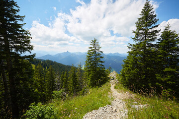 landscape in the mountains