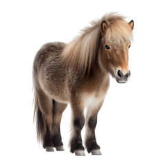 pony horse png file. Transparent Background with generative ai