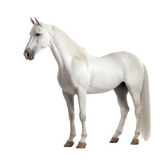 Naklejka na ściany i meble Tennessee_Walking_Horse png file. Transparent Background with generative ai