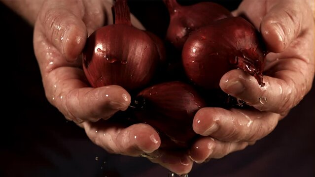 Onion in hands. Filmed is slow motion 1000 fps. High quality FullHD footage