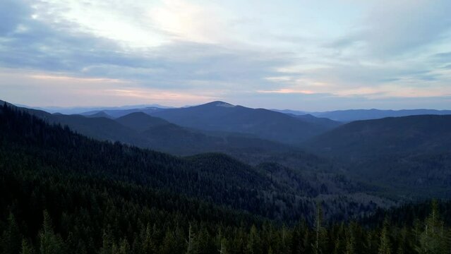 A cinematic view from above of a meadow between green forest spruce trees on a sunset, Carpathian mountains ridge