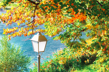 street lamp and green leaves