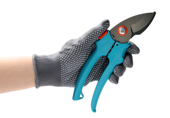 Worker holding secateurs with light blue handles on white background, closeup. Gardening tool