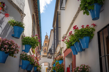Fototapeta na wymiar Calleja de las Flores Street with Flower pots and Cathedral Tower - Cordoba, Andalusia, Spain