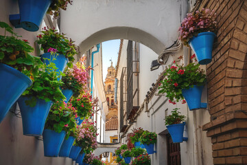 Calleja de las Flores Street with Flower pots and Cathedral Tower - Cordoba, Andalusia, Spain