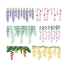 Dangling Flower Element.  Illustration of home hanging leaves of plant String of Nickels isolated on white background.