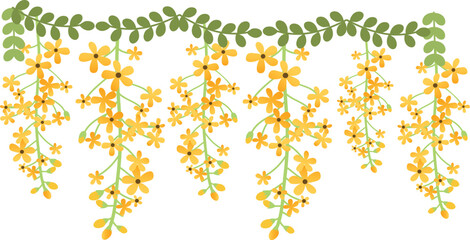 Dangling Flower Element.  Illustration of home hanging leaves of plant String of Nickels isolated on white background.