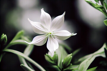 Fototapeta na wymiar Beautiful cute flower Generative AI