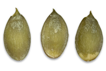 Three peeled pumpkin seeds close-up isolated on a transparent background.