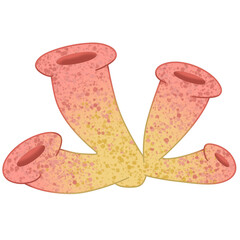 watercolor colorful coral Underwater world Summer sea beach cliparts illustration