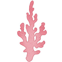 watercolor hand drawn ping coral Underwater world Summer sea beach cliparts illustration