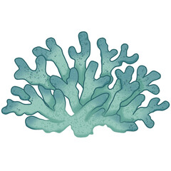 watercolor hand drawn green coral Underwater world Summer sea beach cliparts illustration