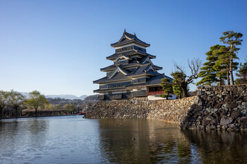 The traditional japanese castle of Matsumoto japan at evening. The blue sky offers plenty of copy space.