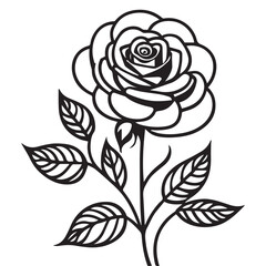 Fototapeta premium Rose Vector Illustration Line art, Rose Line art vector illustration, Rose Art Illustration