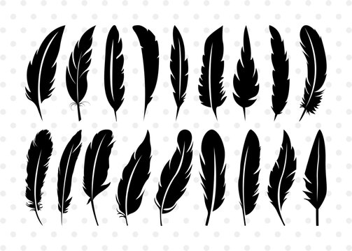 Premium Vector  Feather of birds black and white feather silhouette for  logo vector set