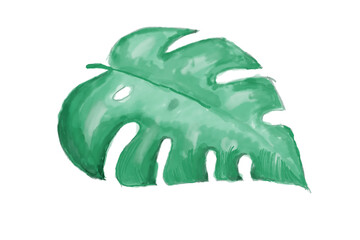 watercolor leaf