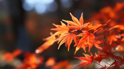 Central maple clears out in collect time sunny day in frontal zone and foggy foundation. Creative resource, AI Generated