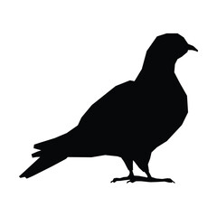 Fototapeta premium Isolated black silhouette of a pigeon on a white background. - Farm Animals. Vector Icon illustration