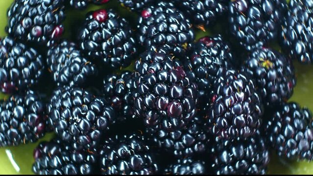 4k footage top view close-up bright and vivid blackberries rotate clockwise on a green plate. Ripe juicy berries look delicious. Healthly food. beneficial nutrients in the diet