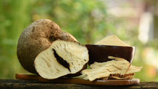Pueraria mirifica head and powder on nature background.