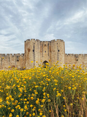 La beauté médiévale en fleurs : Les remparts d'Aigues-Mortes sous un doux enchantement