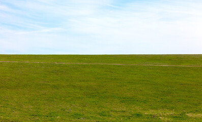 Green grass field with blue sky background and copy space for text