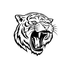 Tiger head vector illustration isolated on transparent background