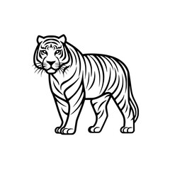 Tiger vector illustration isolated on transparent background