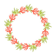 Frames made of summer elements white background. Algae, corals. A frame of marine elements. Design of a poster, banner, postcard. Vector illustration