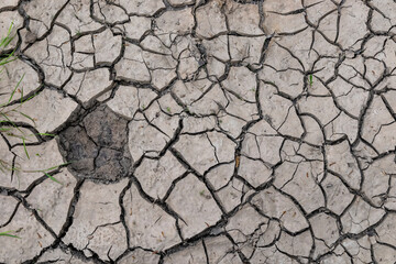 dried earth, cracks in the ground with grass