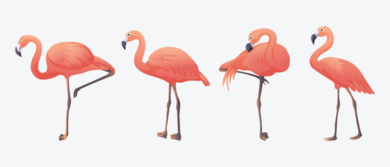 Flamingo Collection Set Animal Summer Beach Flat Style