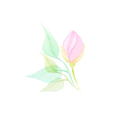 Watercolor drawing of half-transparent clear purple flower blossom with stem and green leaves on white background. Nice picture for illustration, stickers, cards, scrapbooking