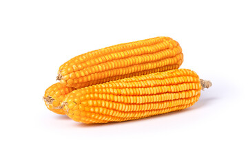 Dry corn cobs isolated on white background with clipping path.