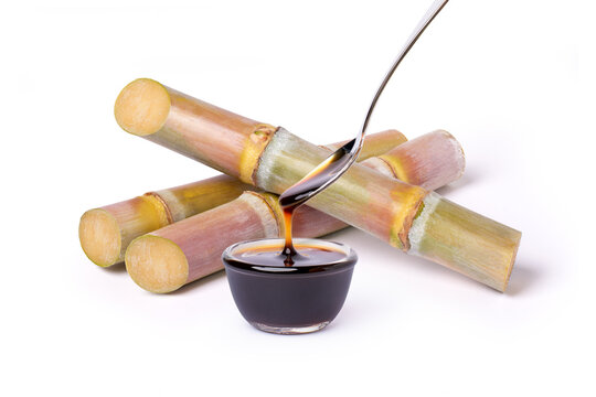 Sugarcane syrup molasses with fresh sugar cane isolated on white