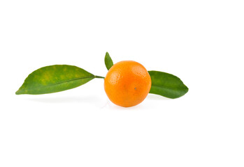 kumquat orange that placed on white background