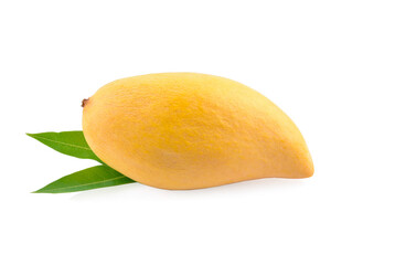 Mango fruit and leaf isolated on white background