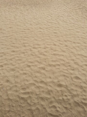 Fototapeta na wymiar Fine sand on a sandy beach