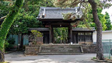 Fototapeta premium 寺院の山門