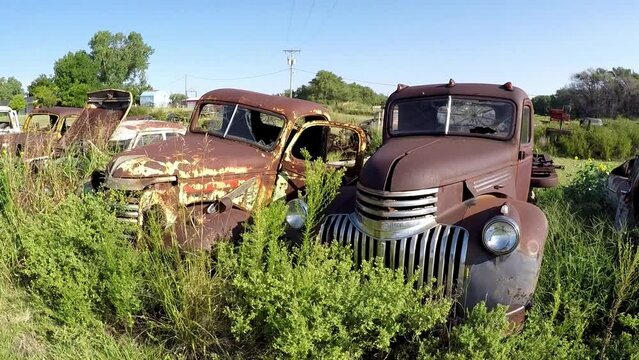 Old rusty cars on a meadow between high grass along Route 66