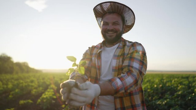 Happy smile bearded man farmer in straw hat holding little plant sprout in hands preparing to plant in open ground on agricultural field. Spring works replanting seedlings in farmland. Agribusiness.