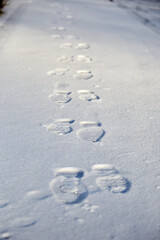 Fototapeta na wymiar Footprints on a white snow, selective focus