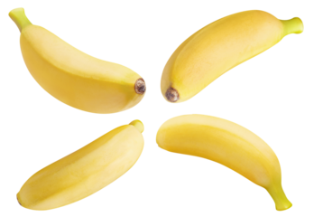 Set of delicious bananas cut out